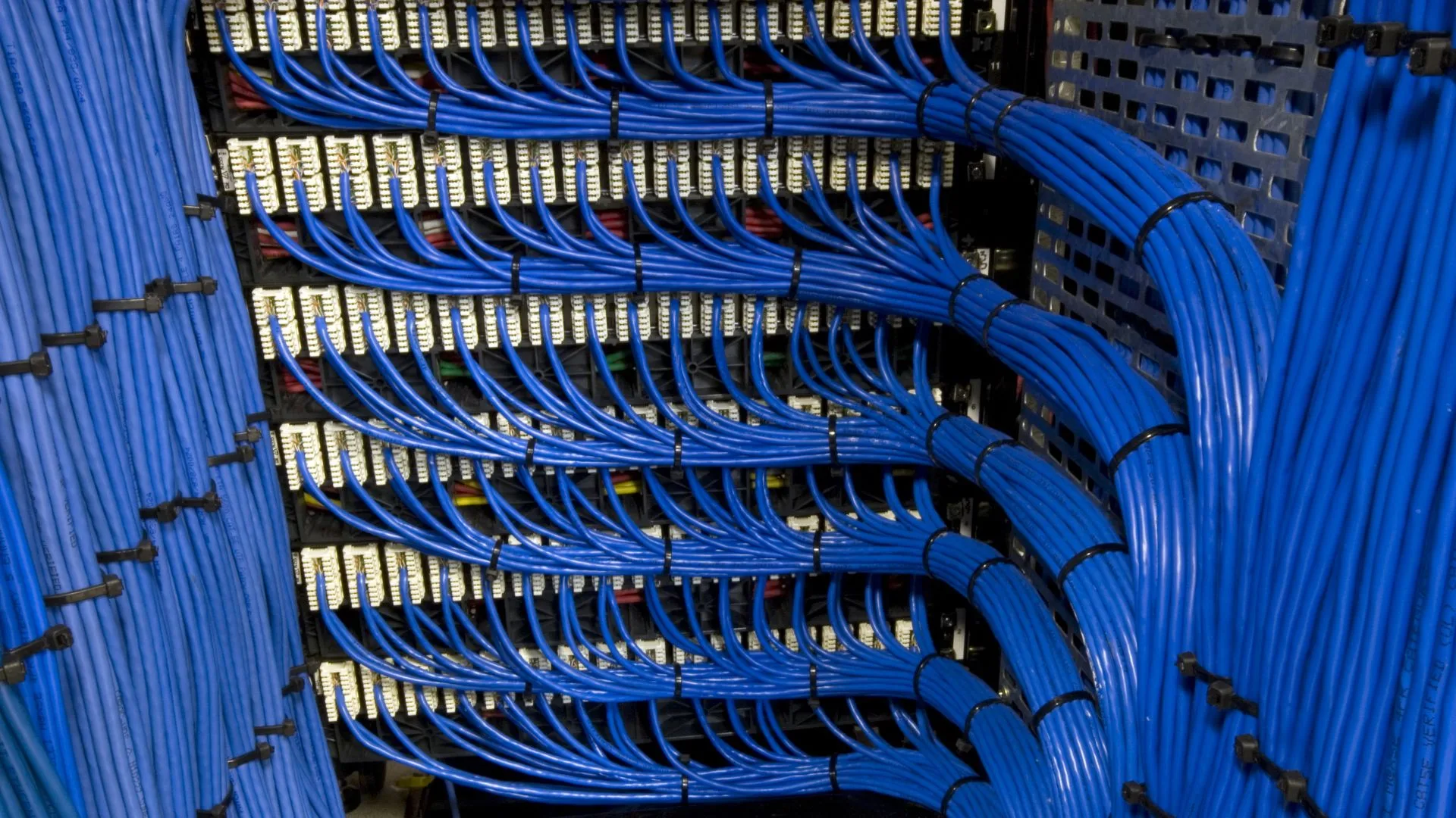 Network cabling technician at work